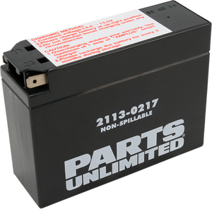 AGM Battery - YT4B-BS