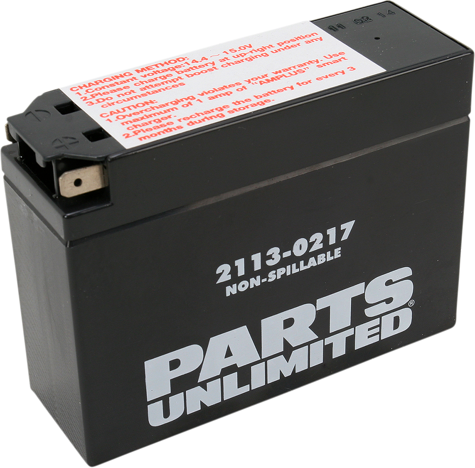 AGM Battery - YT4B-BS