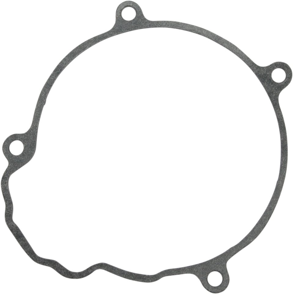 Replacement Gasket