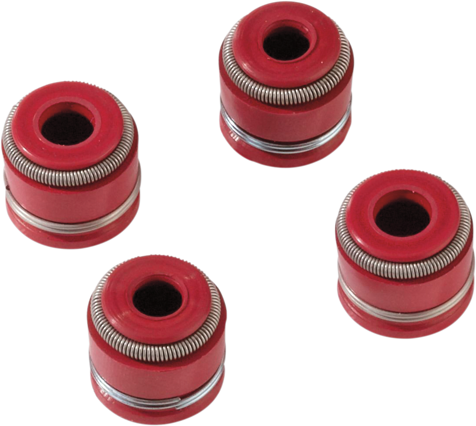 Valve Seal Kit