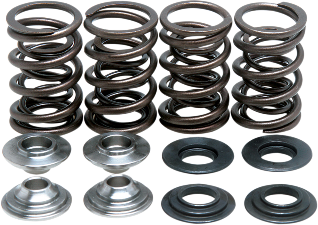 Valve Spring Kit