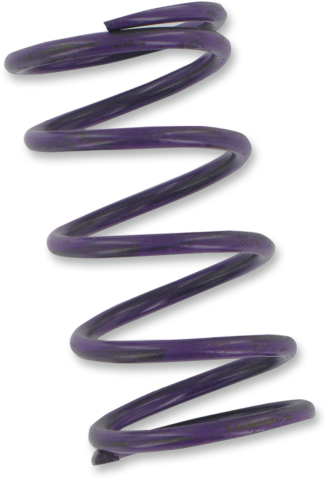 Clutch Spring - Purple - Lutzka's Garage