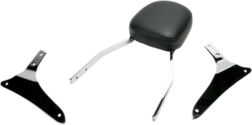 Sissy Bar - Standard - VN 1700