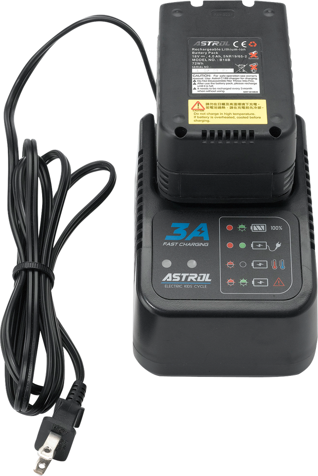 RS-16 E-Bike Battery Charger