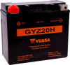 AGM Battery - GYZ20H