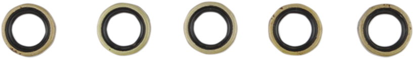 Trans Shifter Drum Seal