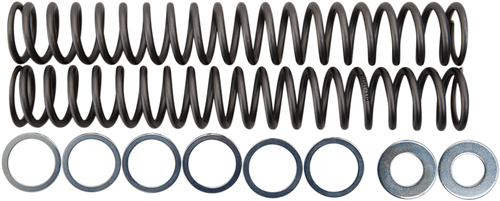 Fork Springs - 1.10 kg/mm