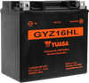 AGM Battery - GYZ16HL