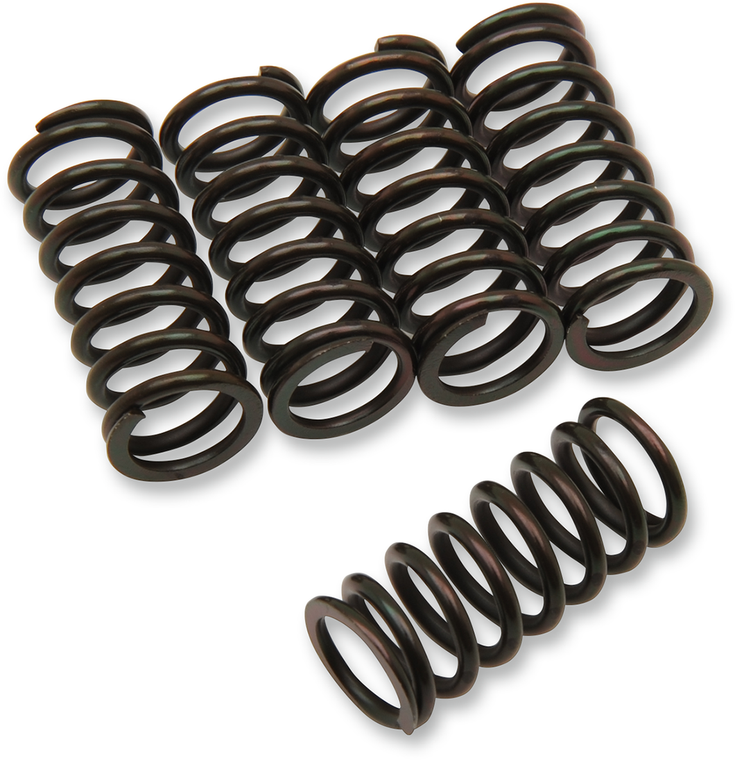 Clutch Spring Kit