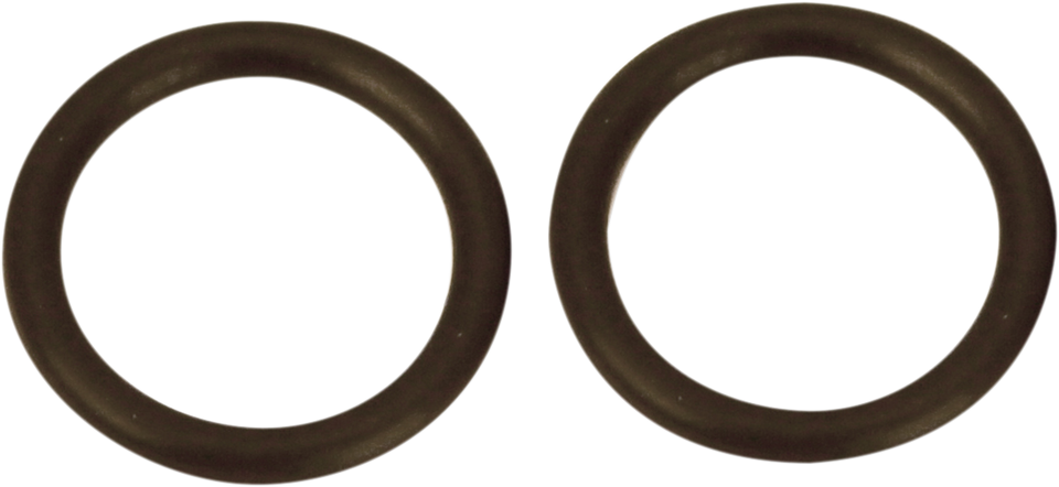 Viton O-Ring