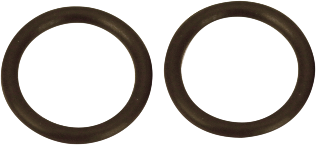 Viton O-Ring