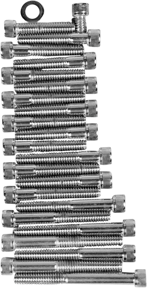 Socket-Head Side Cover Bolt Kit - XL - Lutzka's Garage