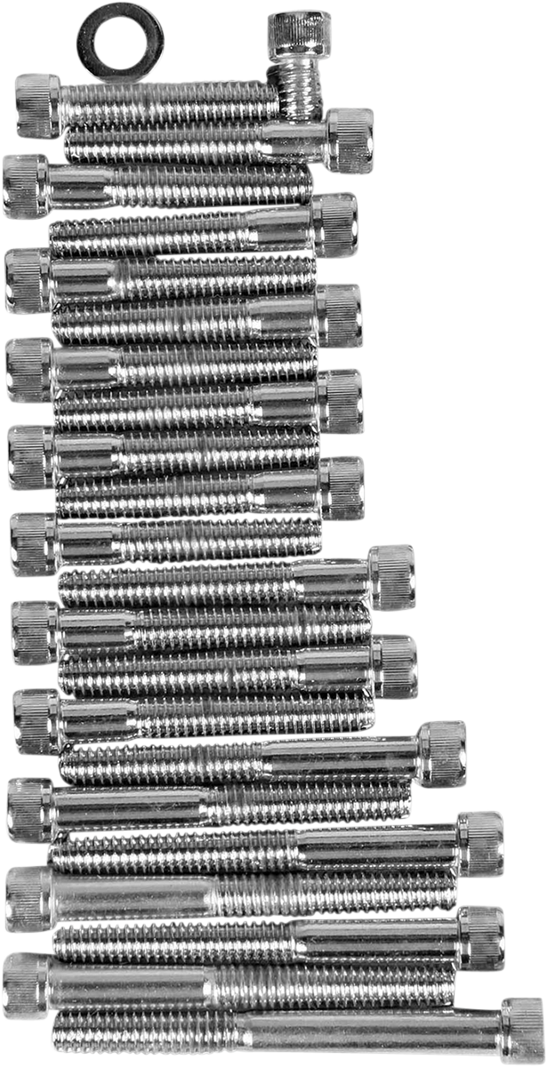 Socket-Head Side Cover Bolt Kit - XL - Lutzka's Garage