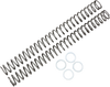 Fork Springs - 0.48 kg/mm