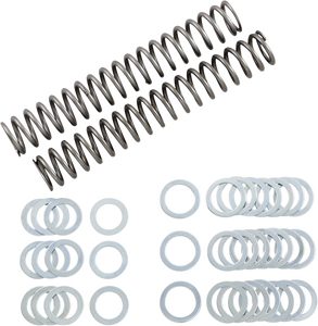 Fork Springs - 1.10 kg/mm