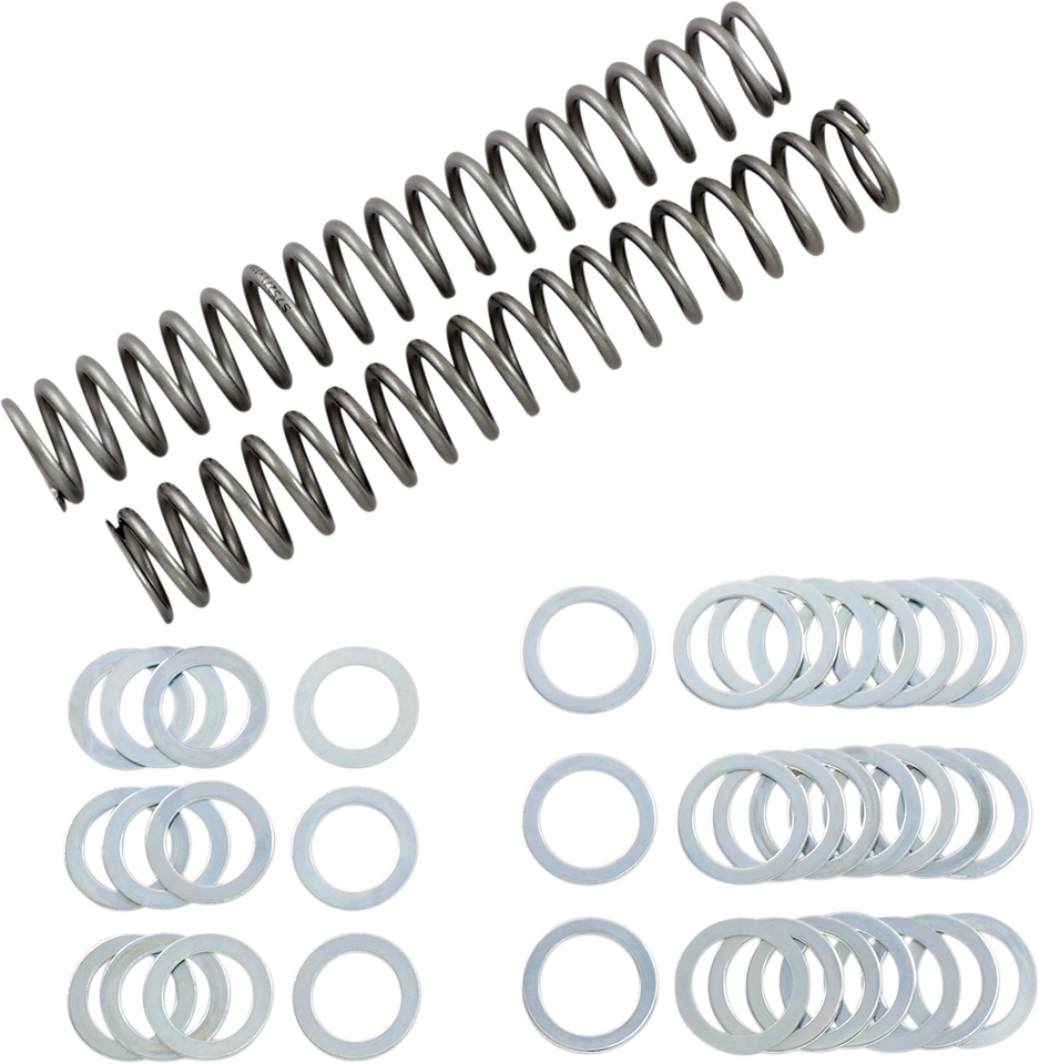 Fork Springs - 1.10 kg/mm