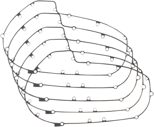 Primary Gasket