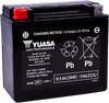 AGM Battery - YTX20H