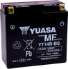 AGM Battery - YT14B-BS .60 L