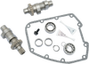 509C Chain Drive Cam Kit