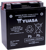 AGM Battery - YTX20CH-BS .82 L