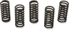 Clutch Spring Kit