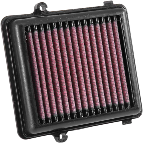 Air Filter - CRF1000L