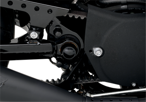 Swingarm Pivot Bolt Cover - Gloss Black - Lutzka's Garage