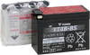 AGM Battery - YT4B-BS .12 L