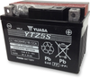 AGM Battery - YTZ5S-BS