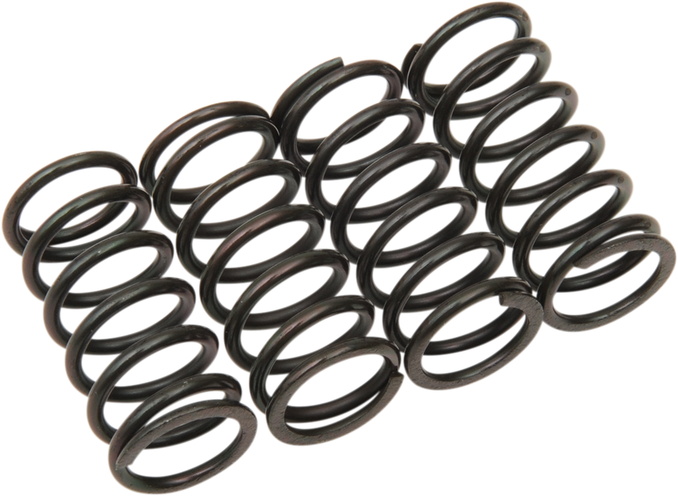 Clutch Spring Kit