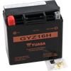 AGM Battery - GYZ16H